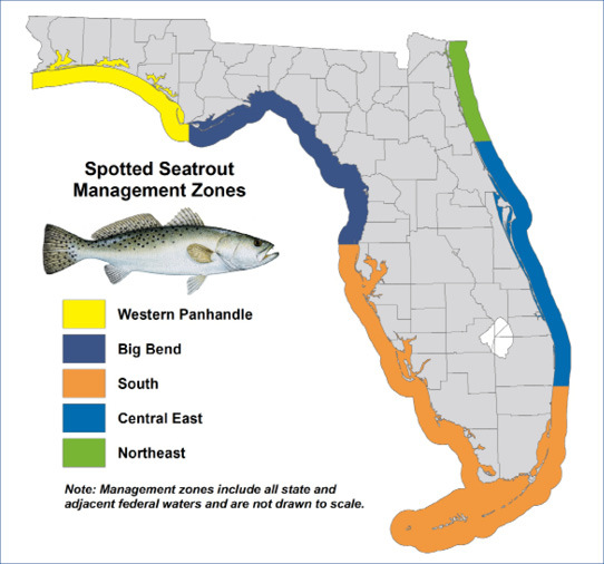 Seatrout Regions For Regs 